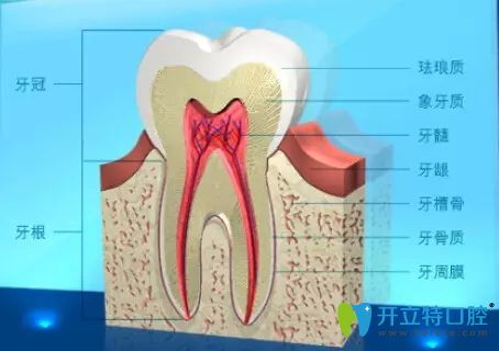 牙槽骨突出能按進(jìn)去嗎，如果選擇矯正該怎么搞？