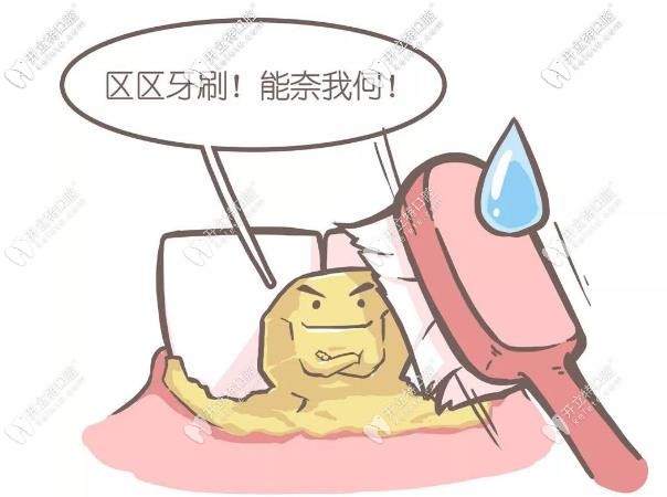 平時要勤刷牙，保護口腔健康